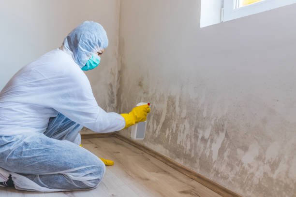 Licensed Mold Testing service in Sherborn, MA - WQB Mold Removal