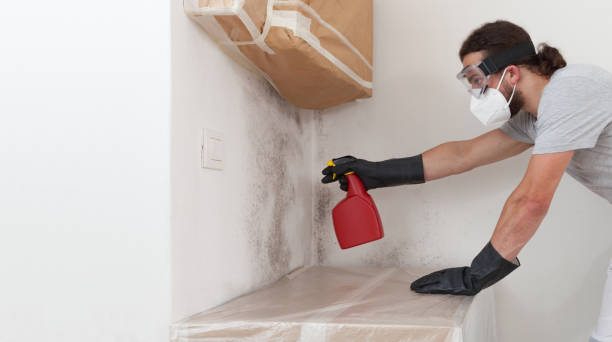 Professional Mold Testing technician working in Sherborn, MA
